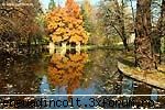 martie 2006 romania