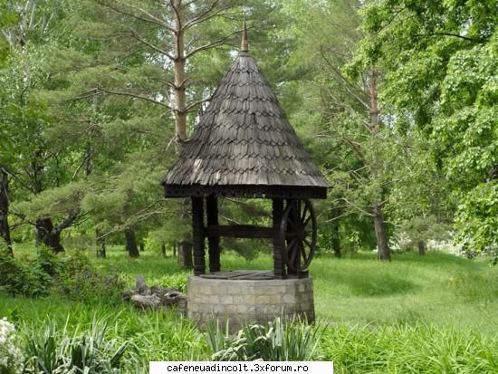 nr.1 18  martie  2006  gradina  botanica  iasi  partea  i