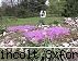 gradina botanica din iasi (partea iii-a) sectorul flora globului3: