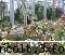 gradina botanica din iv-a) sectorul ornamental