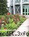 gradina botanica din iv-a) sectorul ornamental preluate dupa)