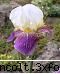 gradina botanica din iv-a) sectorul biologic