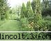 gradina botanica din iv-a) sectorul biologic