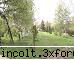 gradina botanica din iv-a) sectorul biologic