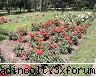 gradina botanica din iv-a) sectorul rozariu