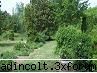 botanica din v-a) sectorul plante