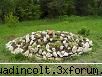botanica din v-a) invitatie relaxare: