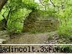 botanica din vi-a) izvor sanatate: (toate fost preluate din)