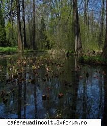 unde te duci, 

  
unde te duci oamenii şi i-a lăsat alene -n vÃ¢ntul vreascuri crengile
