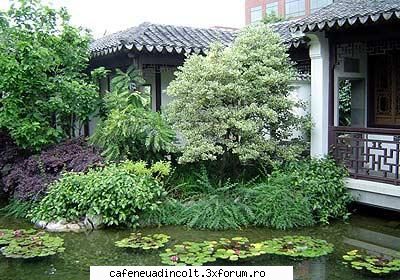 prezente asiatice spatiul european gradina din