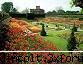 21martie2006Gradini celebre(continuare) - Gradinile de la Hampton Court 2 - Europa, America,Australia