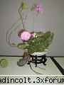 24martie2006 Ikebana - blueapple - Asia