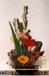 24martie2006 Ikebana - blueapple - Asia