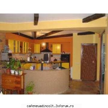 Amenajare - Un mic bar de apartament - Europa, America,Australia