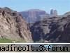 America de Nord - Marele Canion 12 - Americile