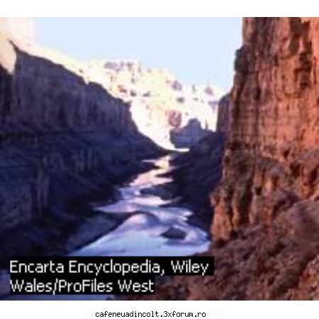 America de Nord - Inca Marele Canion - Americile