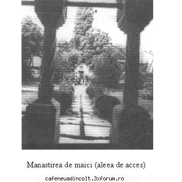 Convorbiri despre arhitectura - mnovicov - Prezente  Arhitectonice