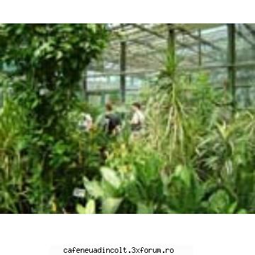 Gradini celebre - Gradina botanica1 - Europa, America,Australia