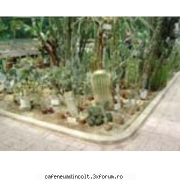 Gradini celebre - Gradina botanica 3 - Europa, America,Australia
