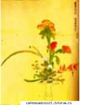 Ikebana - mnovicov - Asia