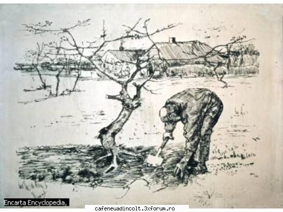 Impresionisti - Vincent van Gogh - Cativa  clasici