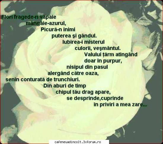 iubirea-i misterul te faci cu florile fragede-n florilor ia numai o florilor