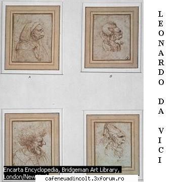 Renasterea italiana - Leonardo da Vinci - Cativa  clasici